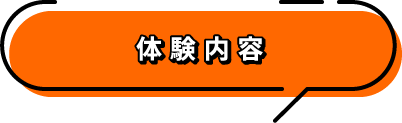 体験内容