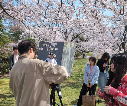 お花見