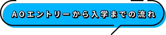 AO入試から入学までの流れ