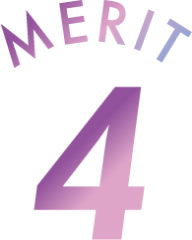 MERIT4